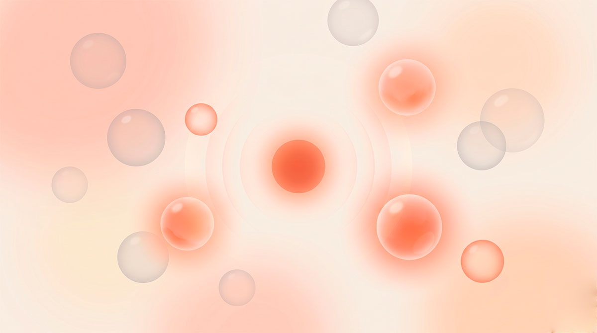 Seguimiento de Prospectos